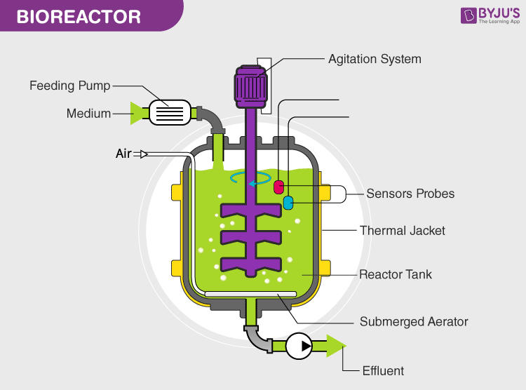 CerCell CellVessel Configurable Single Use Bioreactor - SUB - BPES UK  Supplier